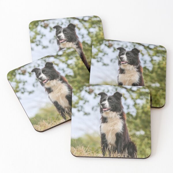 Item preview, Majestic Border Collie Dog Looking Ahead Proudly designed and sold by VanGaldo.