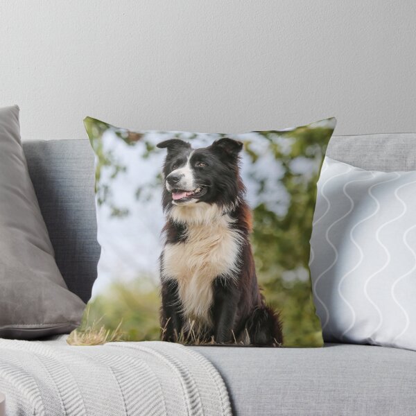 Item preview, Majestic Border Collie Dog Looking Ahead Proudly designed and sold by VanGaldo.