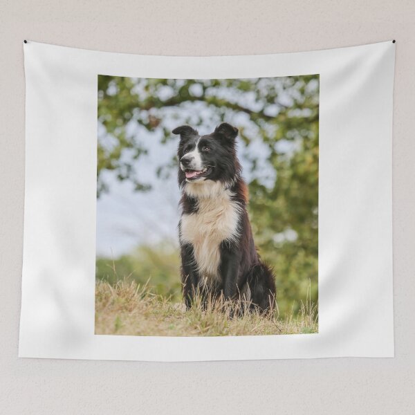 Item preview, Majestic Border Collie Dog Looking Ahead Proudly designed and sold by VanGaldo.