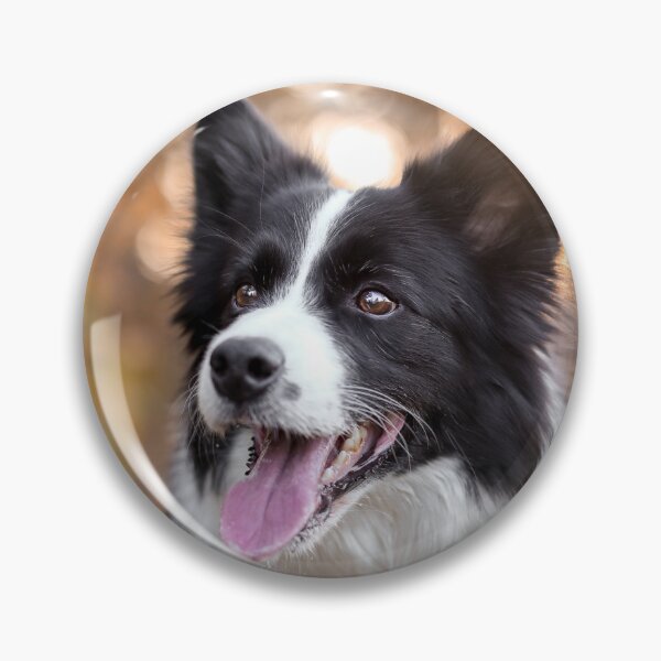 Item preview, Stunning Border Collie Dog Golden Hour Portrait designed and sold by VanGaldo.