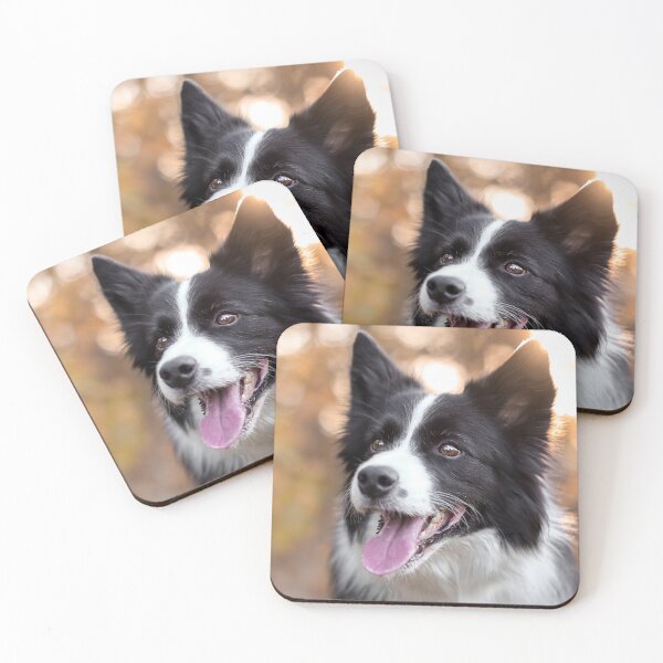 Item preview, Stunning Border Collie Dog Golden Hour Portrait designed and sold by VanGaldo.