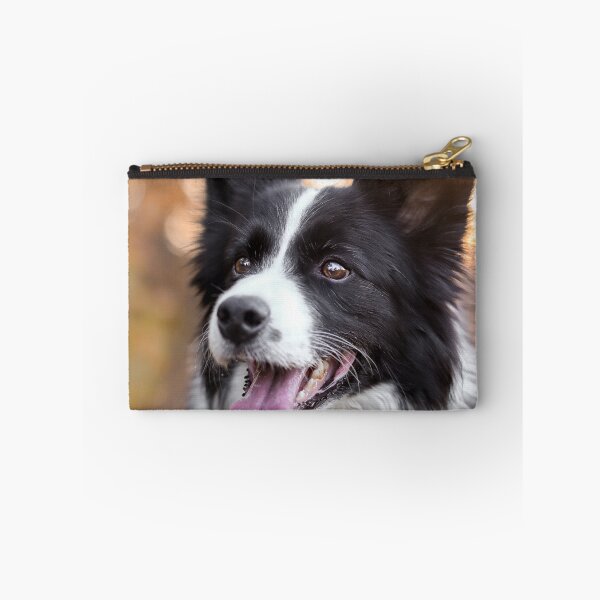 Item preview, Stunning Border Collie Dog Golden Hour Portrait designed and sold by VanGaldo.