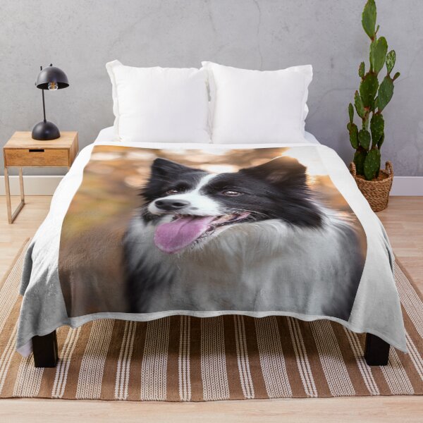 Item preview, Stunning Border Collie Dog Golden Hour Portrait designed and sold by VanGaldo.