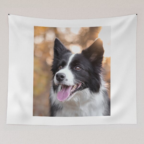 Item preview, Stunning Border Collie Dog Golden Hour Portrait designed and sold by VanGaldo.