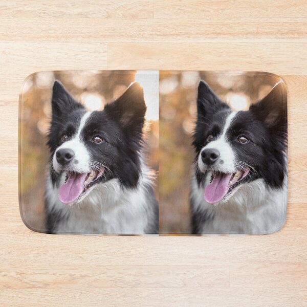 Item preview, Stunning Border Collie Dog Golden Hour Portrait designed and sold by VanGaldo.