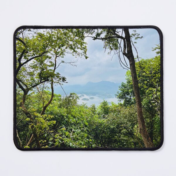 Item preview, Hidden Forest Trail designed and sold by lammaico.