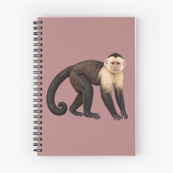 Item preview, Capuchin monkey designed and sold by RAMIRELLI.