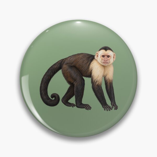 Item preview, Capuchin monkey designed and sold by RAMIRELLI.