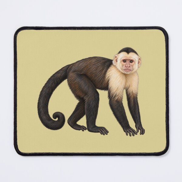 Item preview, Capuchin monkey designed and sold by RAMIRELLI.