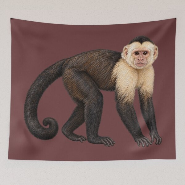 Item preview, Capuchin monkey designed and sold by RAMIRELLI.