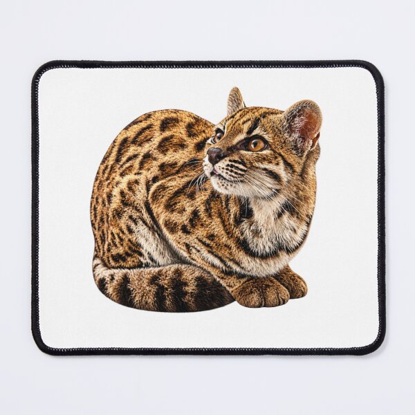 Item preview, Leopardus Tilcayo Tiger Cat ( New Cat Just Dropped! ) designed and sold by reezorrrr.