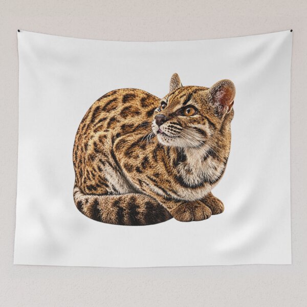 Item preview, Leopardus Tilcayo Tiger Cat ( New Cat Just Dropped! ) designed and sold by reezorrrr.