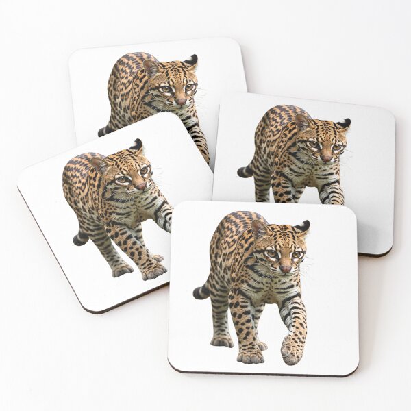 Item preview, Leopardus Tilcayo Tiger Cat ( New Cat Just Dropped! ) designed and sold by reezorrrr.
