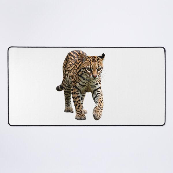Item preview, Leopardus Tilcayo Tiger Cat ( New Cat Just Dropped! ) designed and sold by reezorrrr.