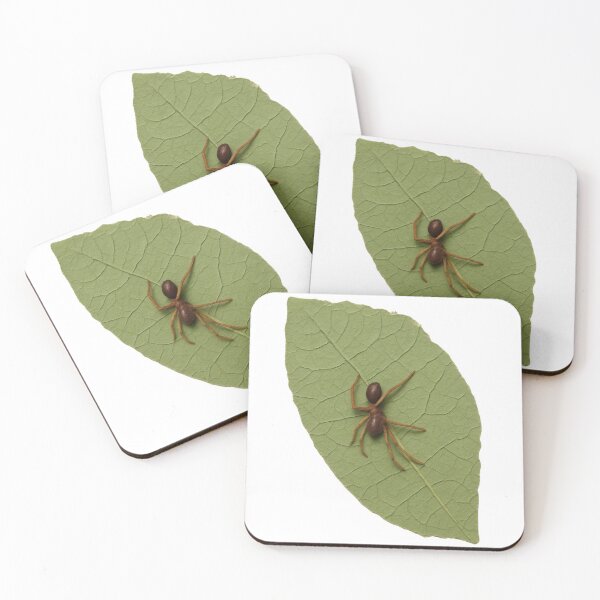 Item preview, Brown Ant Mimicking Spider on Green Leaf Art designed and sold by Carasane.