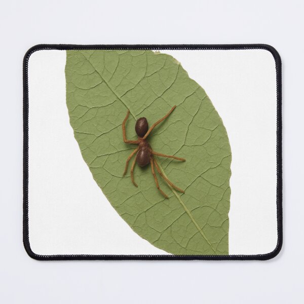 Item preview, Brown Ant Mimicking Spider on Green Leaf Art designed and sold by Carasane.