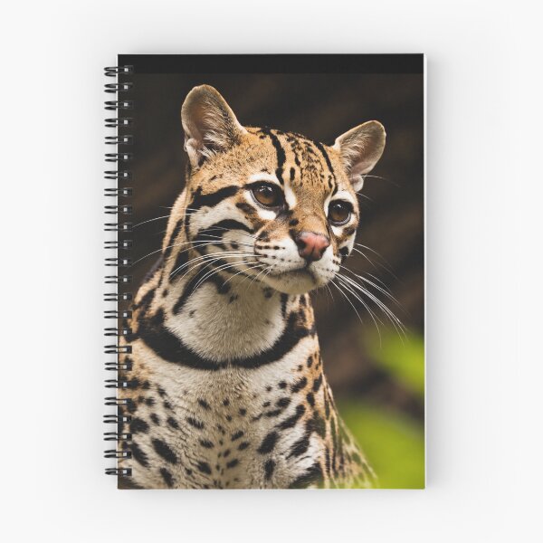 Item preview, Leopardus Tilcayo Tiger Cat ( New Cat Just Dropped! ) designed and sold by reezorrrr.