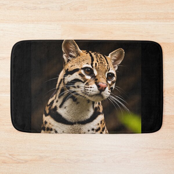 Item preview, Leopardus Tilcayo Tiger Cat ( New Cat Just Dropped! ) designed and sold by reezorrrr.