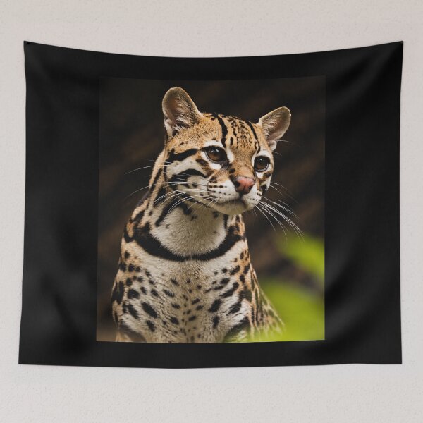 Item preview, Leopardus Tilcayo Tiger Cat ( New Cat Just Dropped! ) designed and sold by reezorrrr.