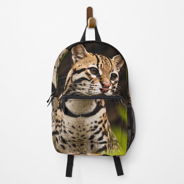Item preview, Leopardus Tilcayo Tiger Cat ( New Cat Just Dropped! ) designed and sold by reezorrrr.