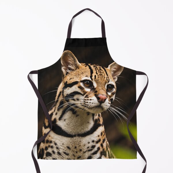 Item preview, Leopardus Tilcayo Tiger Cat ( New Cat Just Dropped! ) designed and sold by reezorrrr.