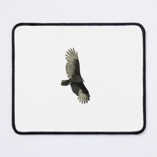 Item preview, Isolated Turkey Vulture 9-22-2021 designed and sold by Thomasyoung.