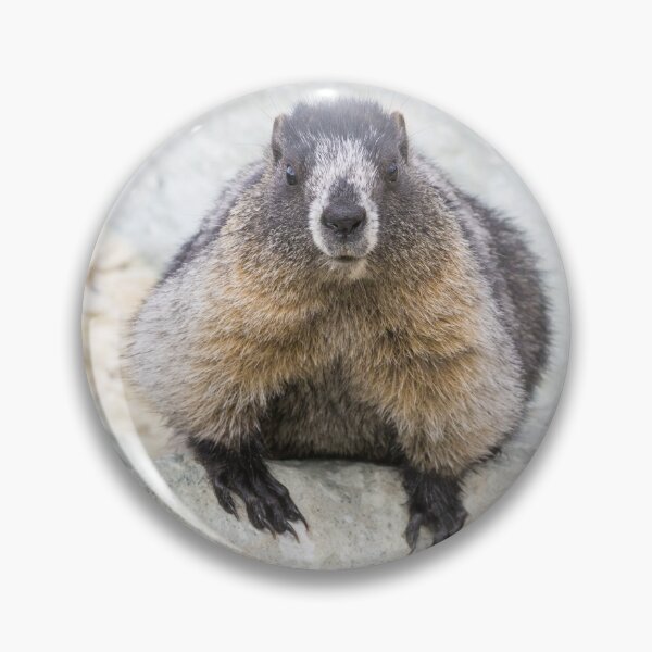 Item preview, Hoary Marmot designed and sold by LaurenTucker.