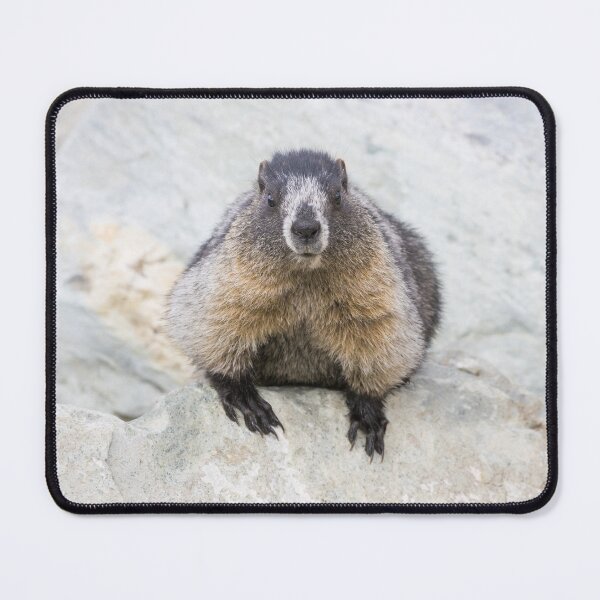Item preview, Hoary Marmot designed and sold by LaurenTucker.