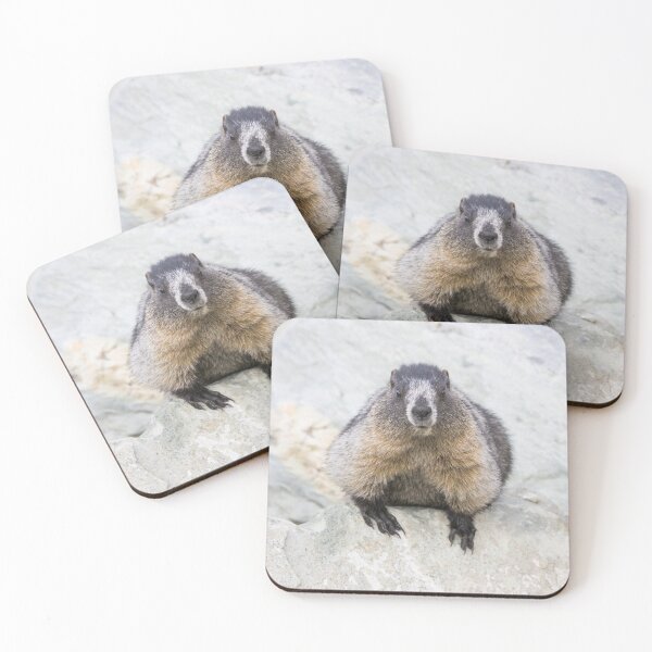 Item preview, Hoary Marmot designed and sold by LaurenTucker.