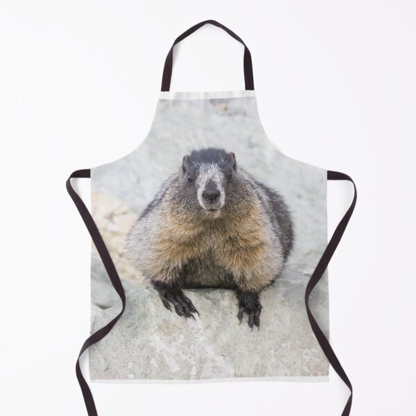 Item preview, Hoary Marmot designed and sold by LaurenTucker.