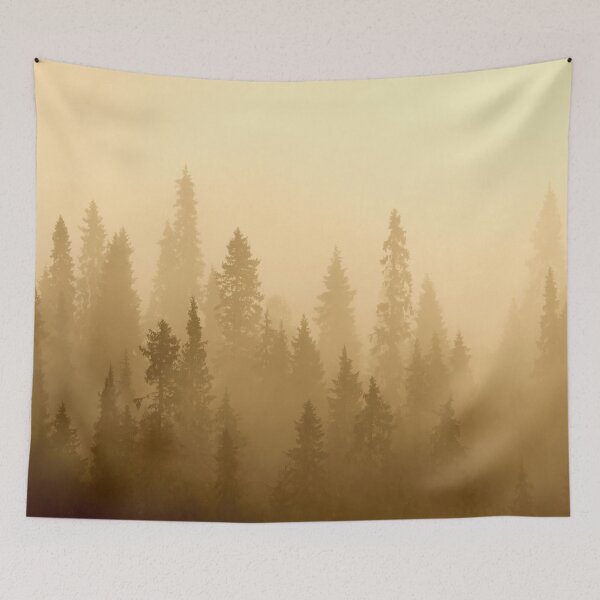 Item preview, Forest. Early Morning at Pahkanakallio 41 designed and sold by Jouko Lehto Photography.