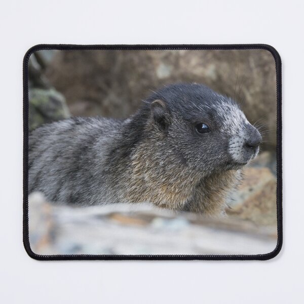 Item preview, Hoary Marmot designed and sold by LaurenTucker.