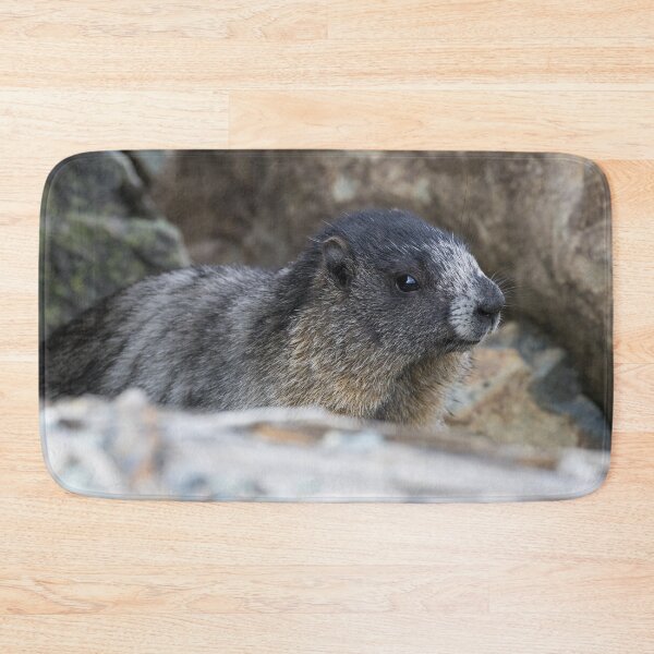 Item preview, Hoary Marmot designed and sold by LaurenTucker.