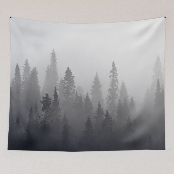 Item preview, Forest. Early Morning at Pahkanakallio 42 designed and sold by Jouko Lehto Photography.