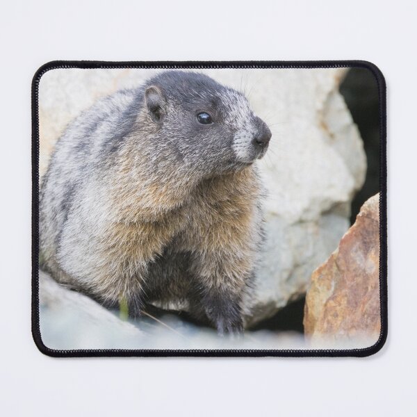 Item preview, Hoary Marmot designed and sold by LaurenTucker.