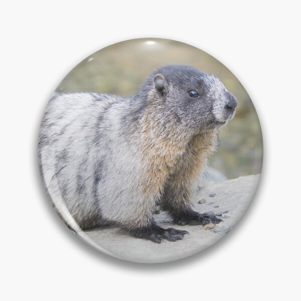 Item preview, Hoary Marmot designed and sold by LaurenTucker.