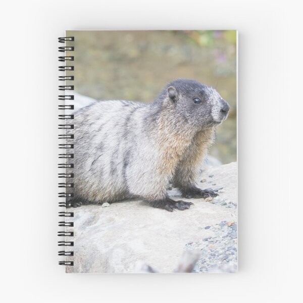Item preview, Hoary Marmot designed and sold by LaurenTucker.