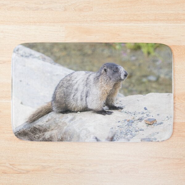 Item preview, Hoary Marmot designed and sold by LaurenTucker.