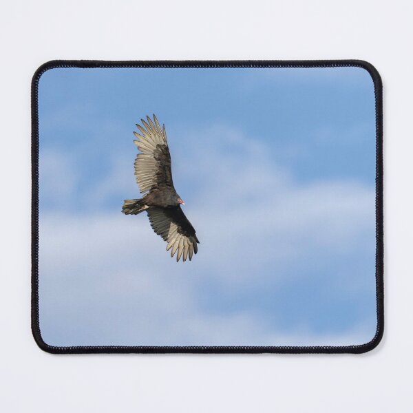Item preview, Soaring Turkey Vulture 9-22-2026 designed and sold by Thomasyoung.
