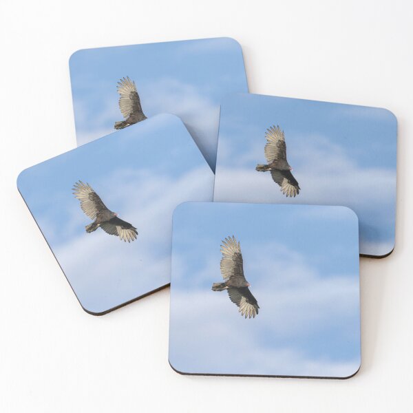 Item preview, Soaring Turkey Vulture 9-22-2026 designed and sold by Thomasyoung.