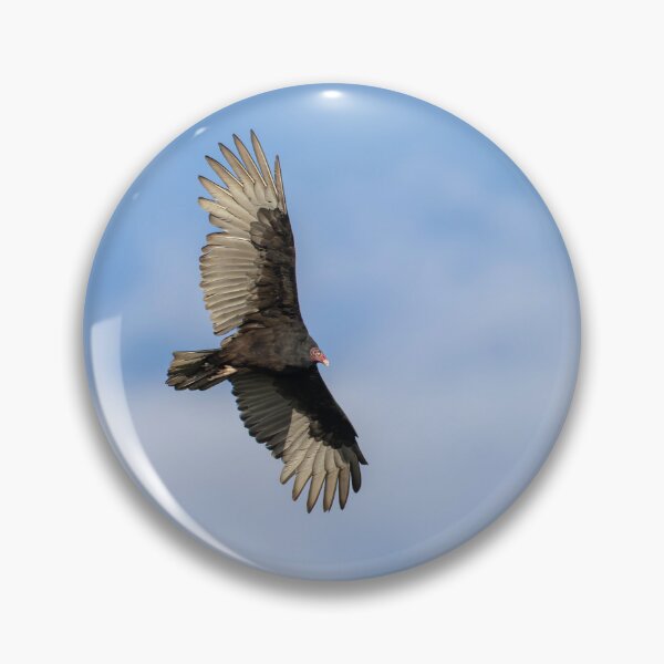 Item preview, Soaring Turkey Vulture 9-22-2026 designed and sold by Thomasyoung.