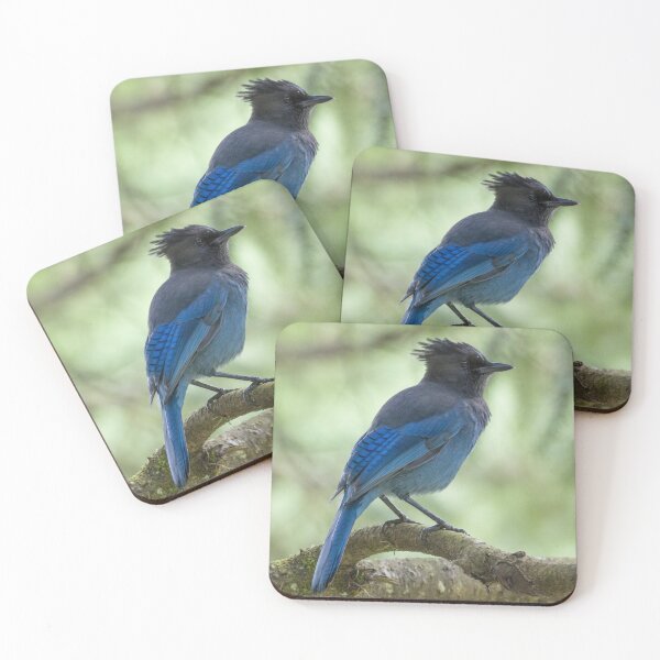 Item preview, Steller's Jay designed and sold by LaurenTucker.