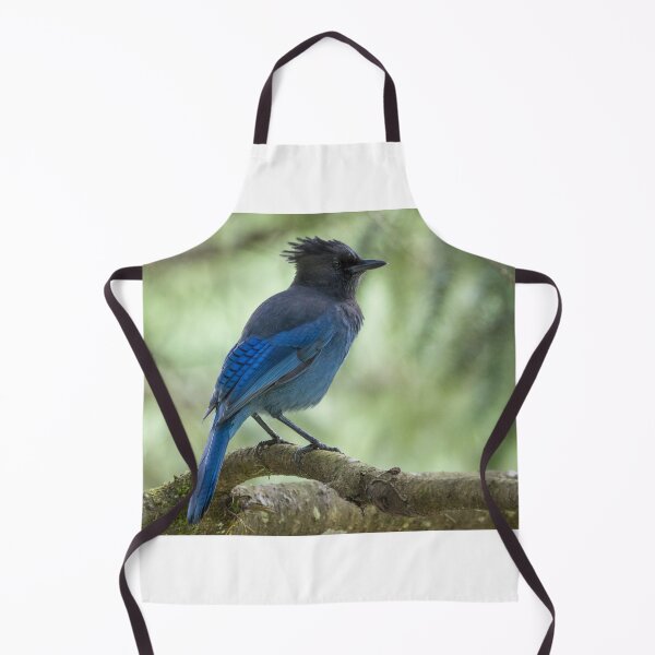 Item preview, Steller's Jay designed and sold by LaurenTucker.