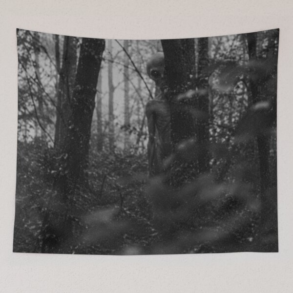 Item preview, Haunted Forest – Mysterious Shadow in the Woods designed and sold by ZYVARENNE.