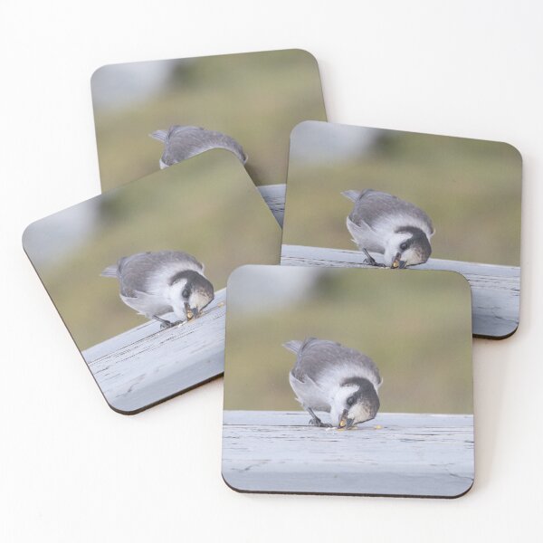 Item preview, Canada Jay designed and sold by LaurenTucker.