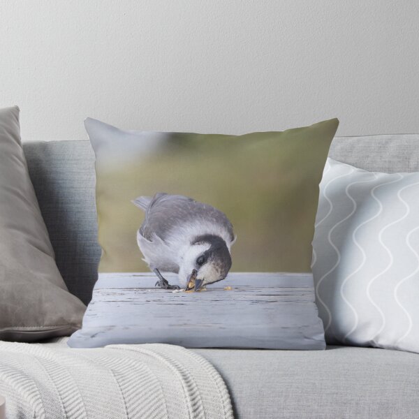 Item preview, Canada Jay designed and sold by LaurenTucker.