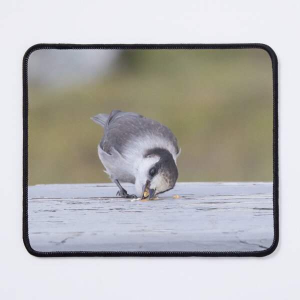 Item preview, Canada Jay designed and sold by LaurenTucker.
