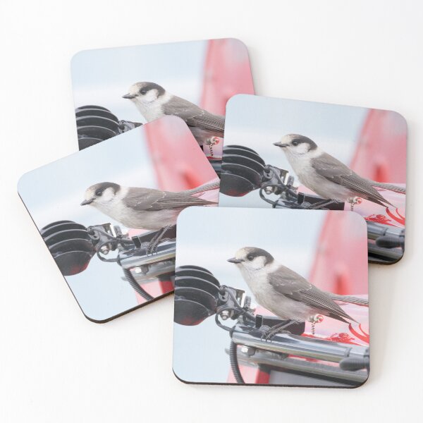 Item preview, Canada Jay designed and sold by LaurenTucker.
