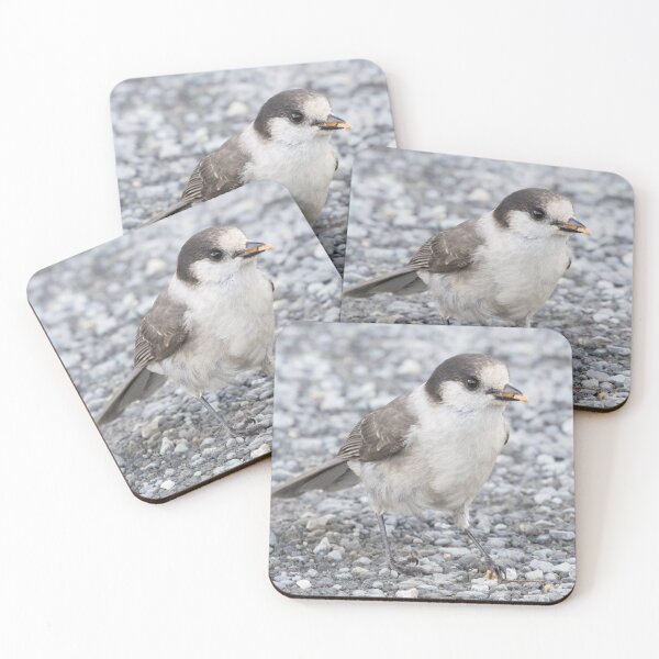 Item preview, Canada Jay designed and sold by LaurenTucker.