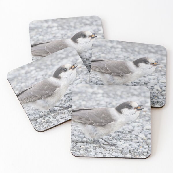Item preview, Canada Jay designed and sold by LaurenTucker.